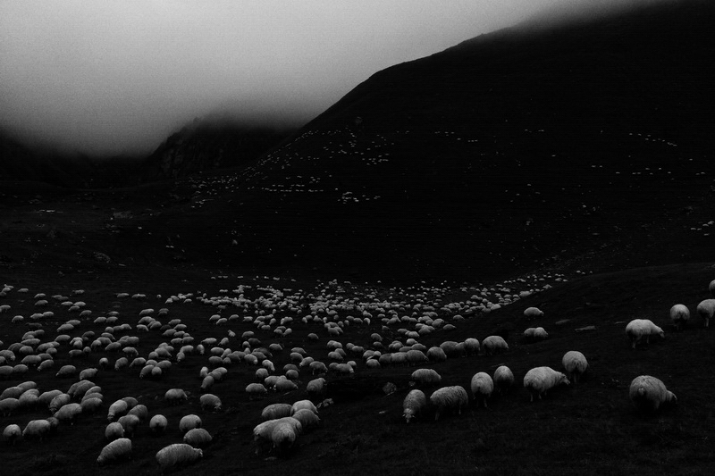 Документальный фотограф Лебедев Михаил | Documentary photographer | Urban | Streetphoto | People | Daily life